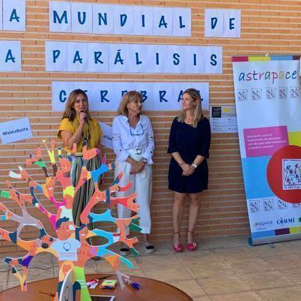 DMPC_web_miniatura