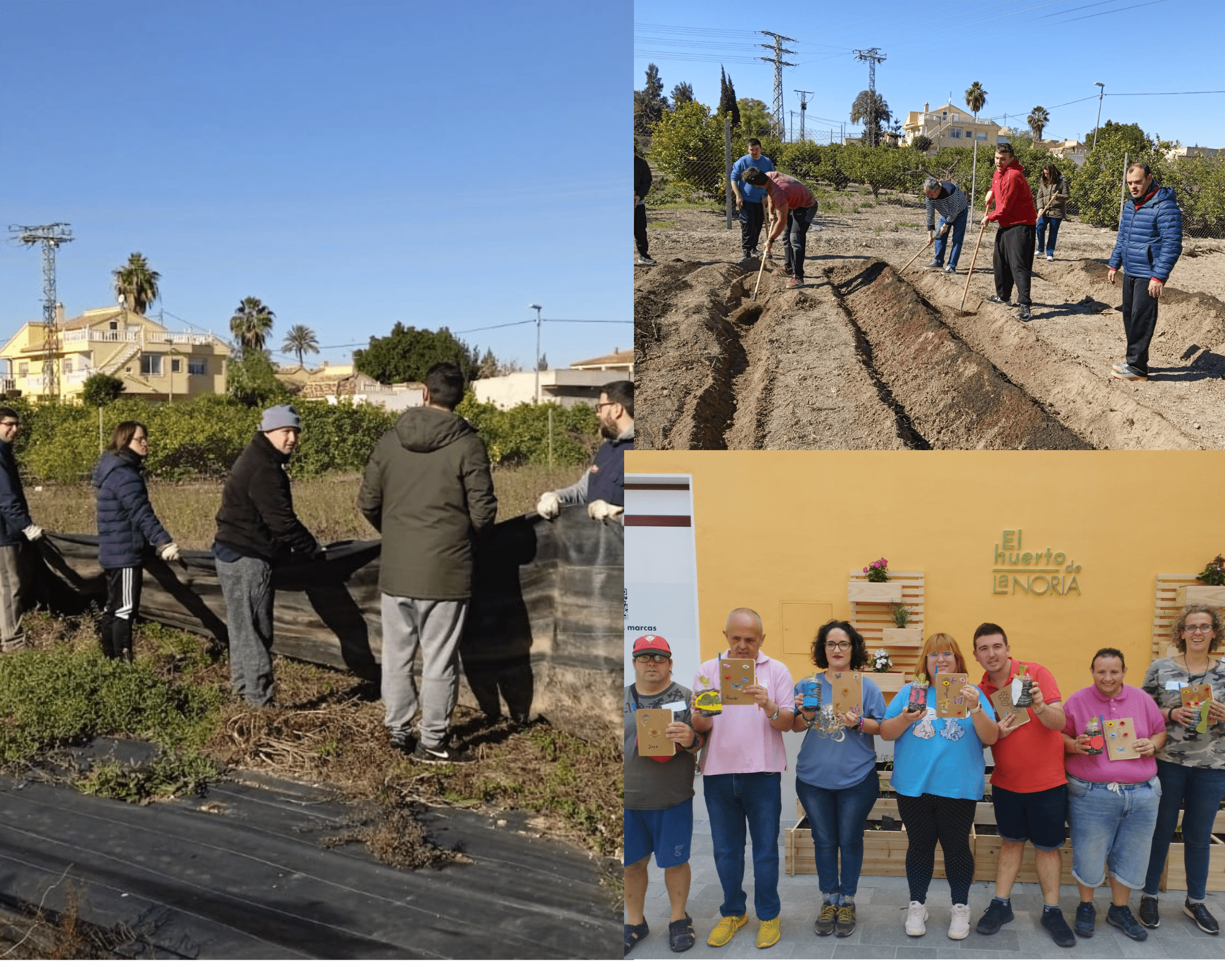 Proyecto social de BBVA