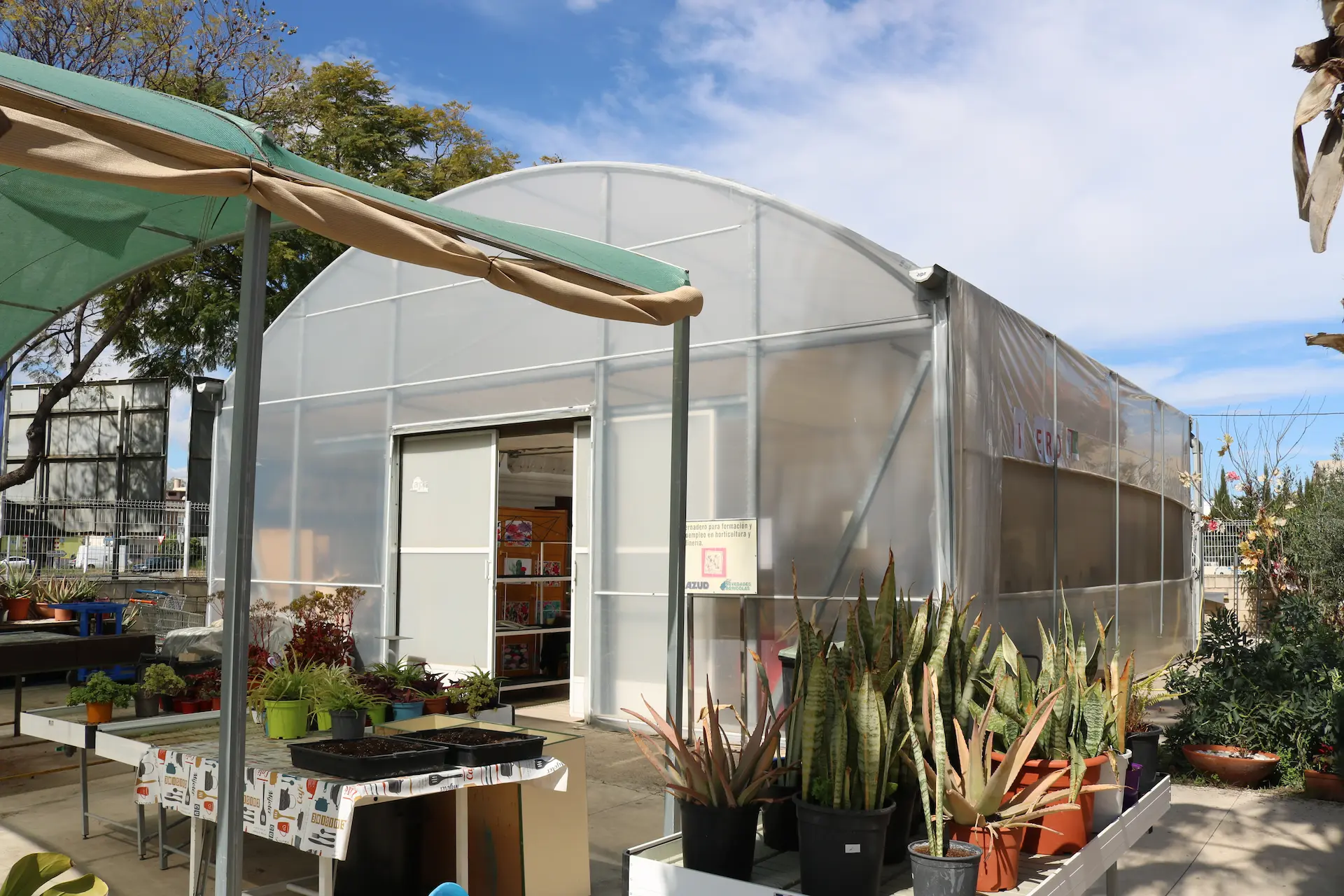 Vivero_de_astrapace_murcia_01