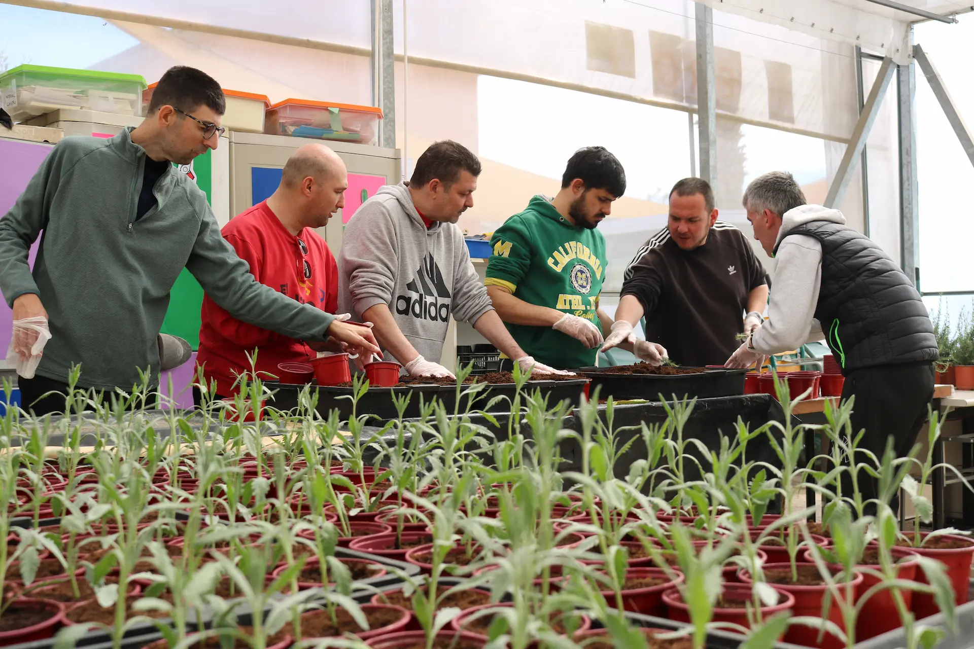Vivero_de_astrapace_murcia_05